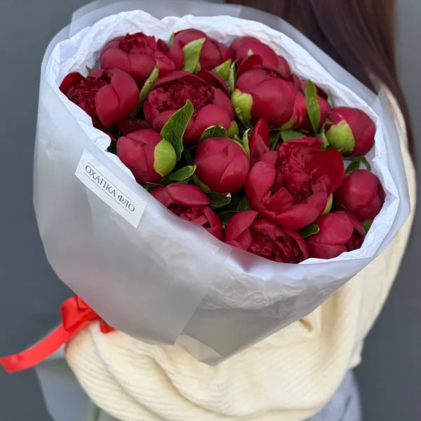 Пионы красные букет 25 штук