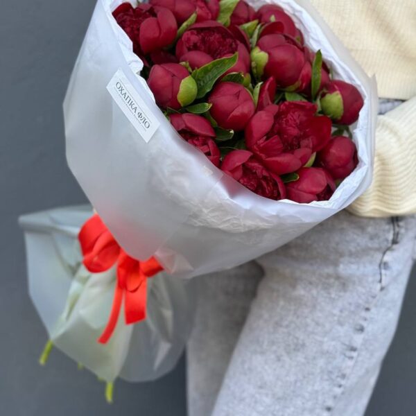 Пионы красные букет 25 штук