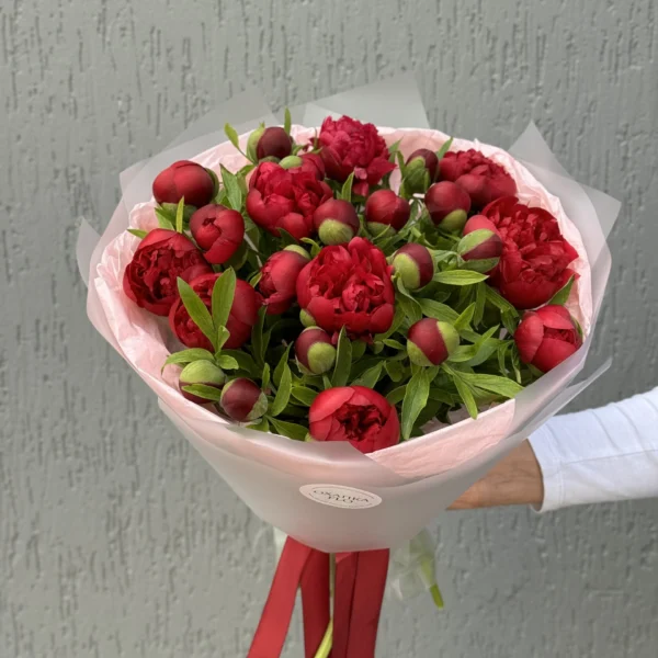 Букет красных пионов 15 штук. Купить