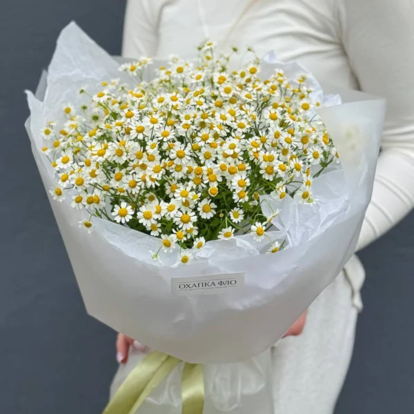 Букет из 15 кустовых ромашек.