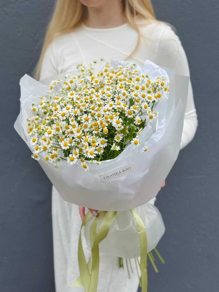 Букет из 15 кустовых ромашек.