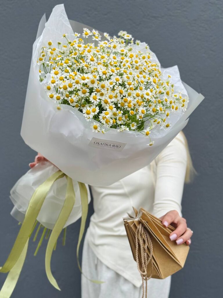 Букет из 15 кустовых ромашек.