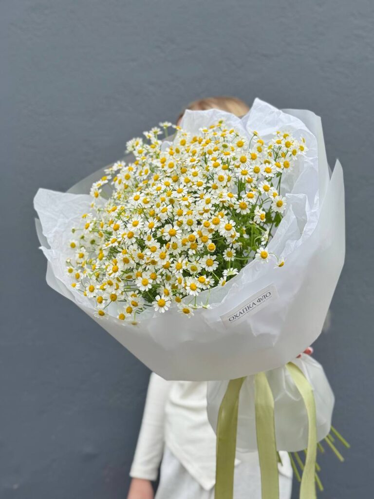 Букет из 15 кустовых ромашек.