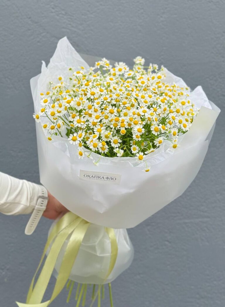 Букет из 15 кустовых ромашек.