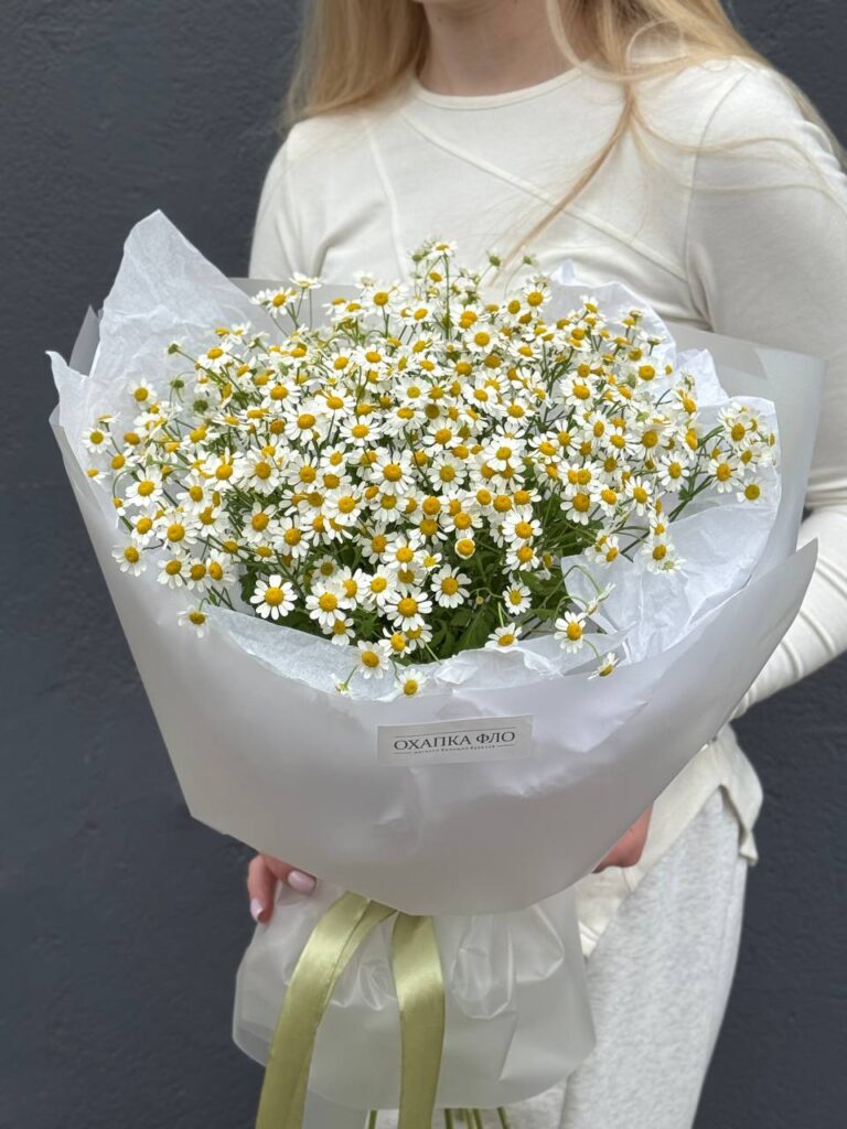 Букет из 15 кустовых ромашек.