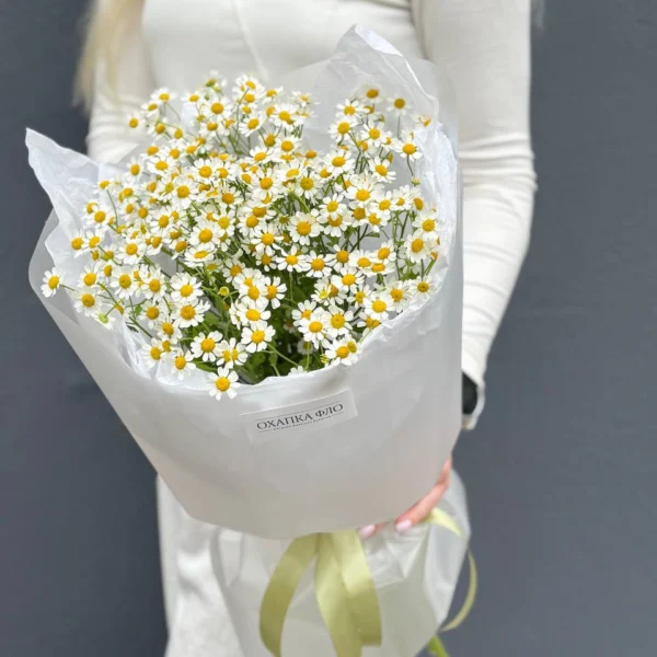 Букет из 9 кустовых ромашек.