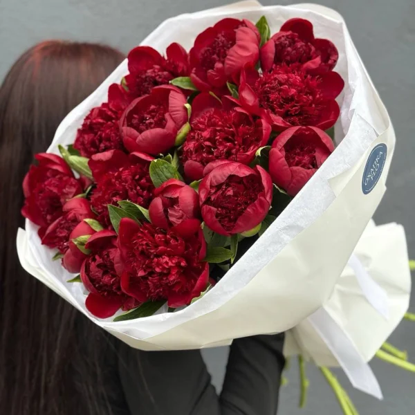 Букет красных пионов 15 штук. Купить
