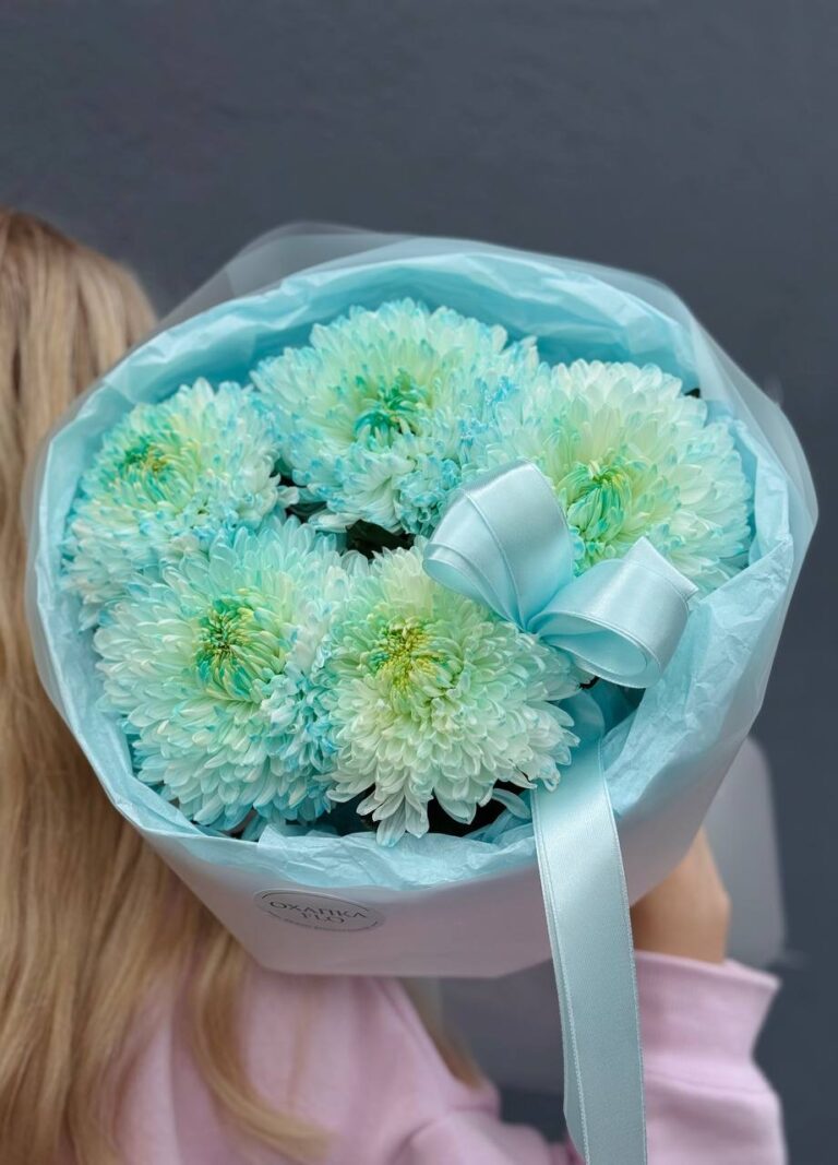 Букет голубых хризантем, 5 шт.