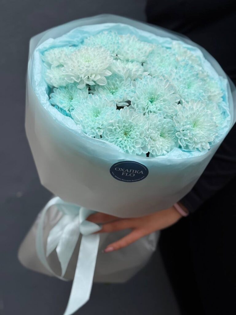 Букет голубых хризантем, 5 шт