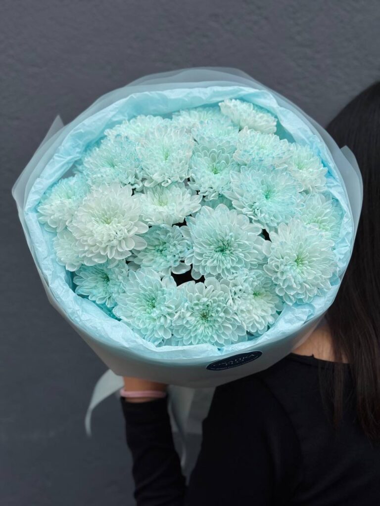 Букет голубых хризантем, 5 шт